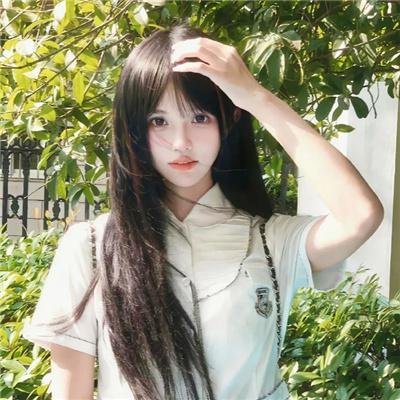 左轮百合
